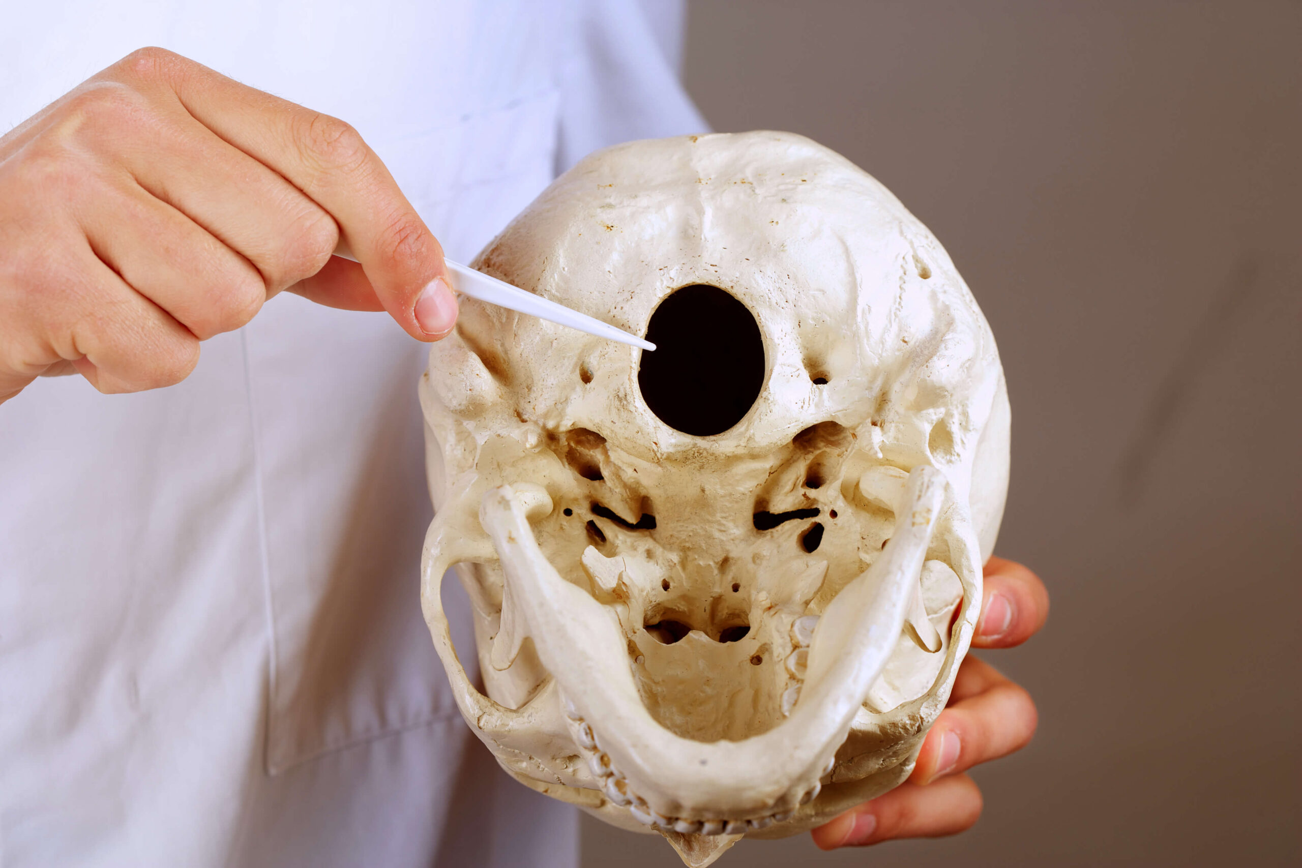 surgeon showing foramen magnum of skull-iStock-178738155 copy surgeon showing foramen magnum of skull